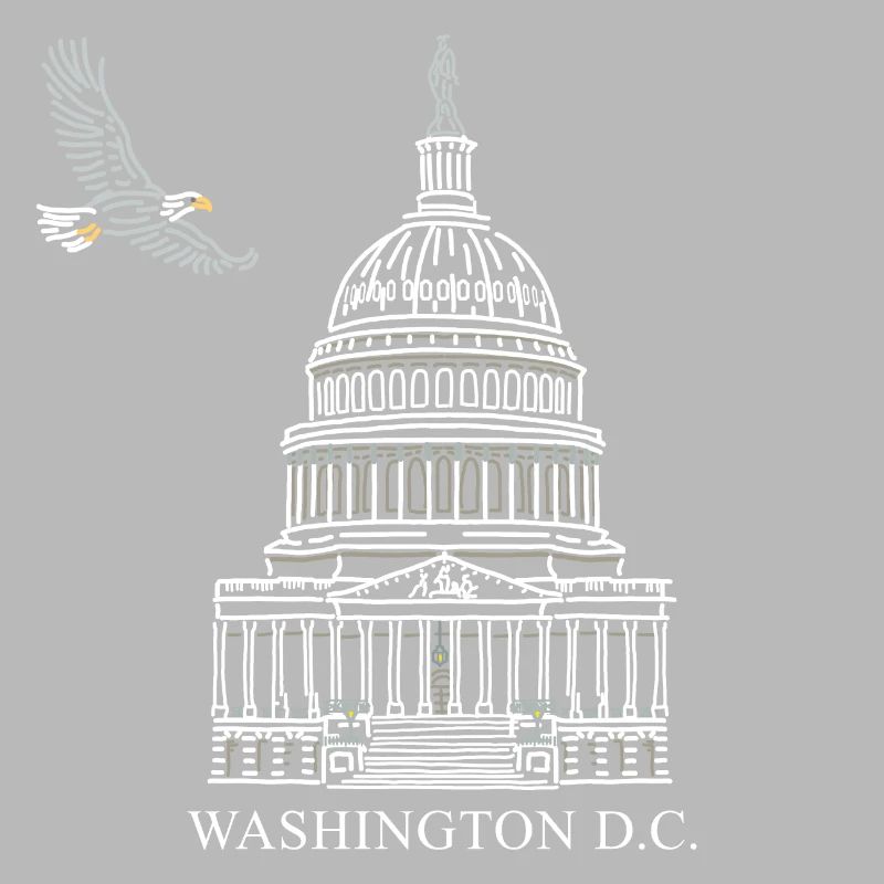 Washington D.C., Capitol Structure, Bald Eagle