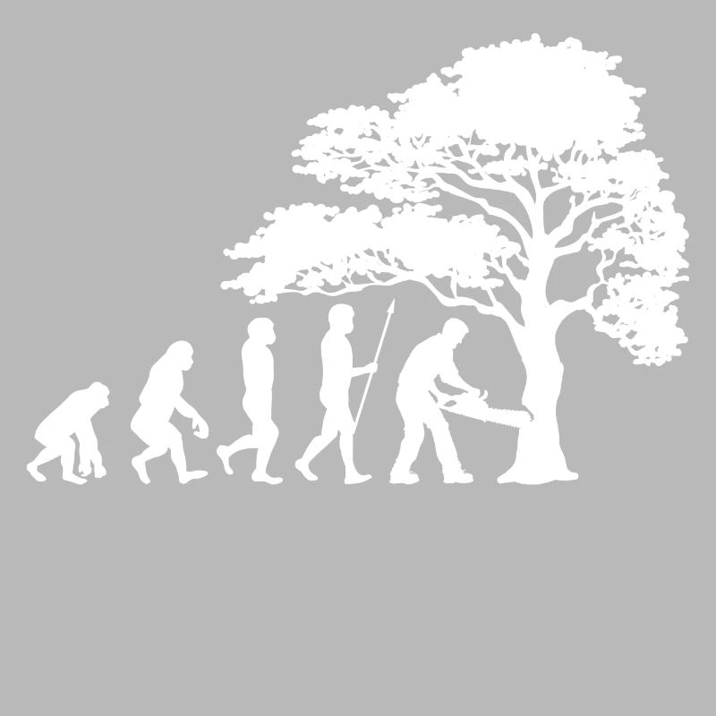 Arbre bois sciure sciure bûcheron boiseries