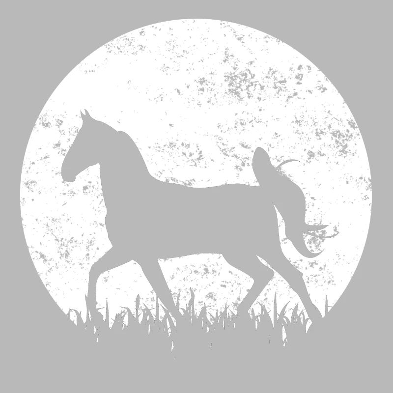 Pferd Pferde Reiten