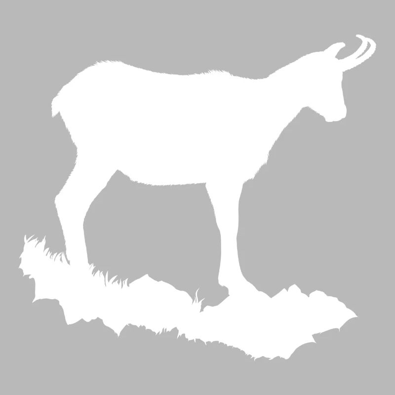 Chamois