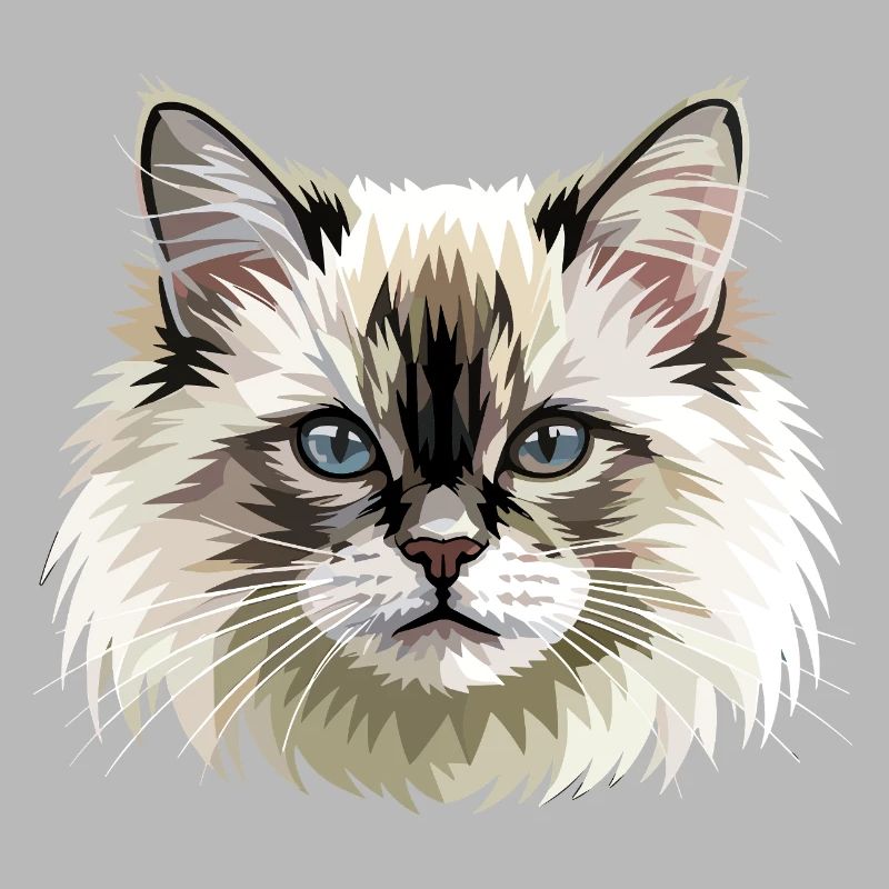 Chat Birman Chat Birman Sacré Chat Birman Mignons Chats Birman