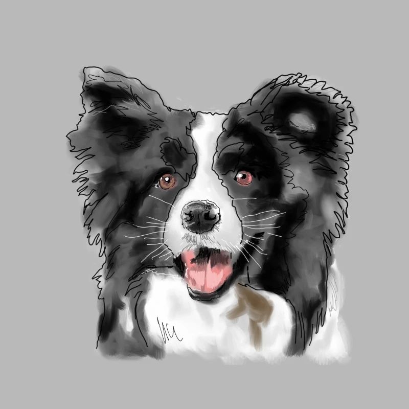 Border Collie