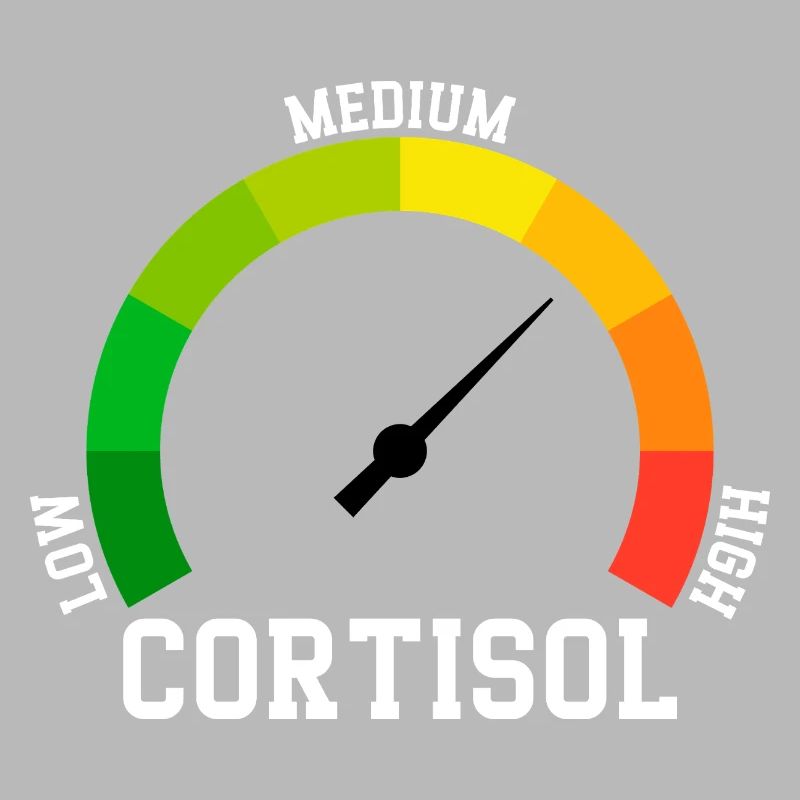 Low Cortisol Low Level Even
