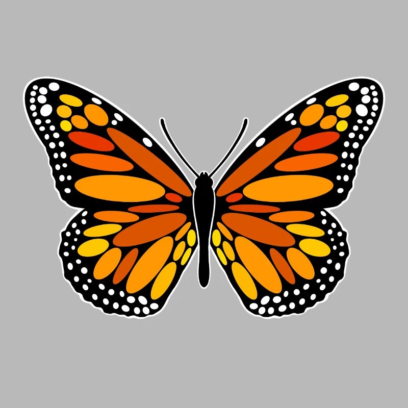 Papillon monarque