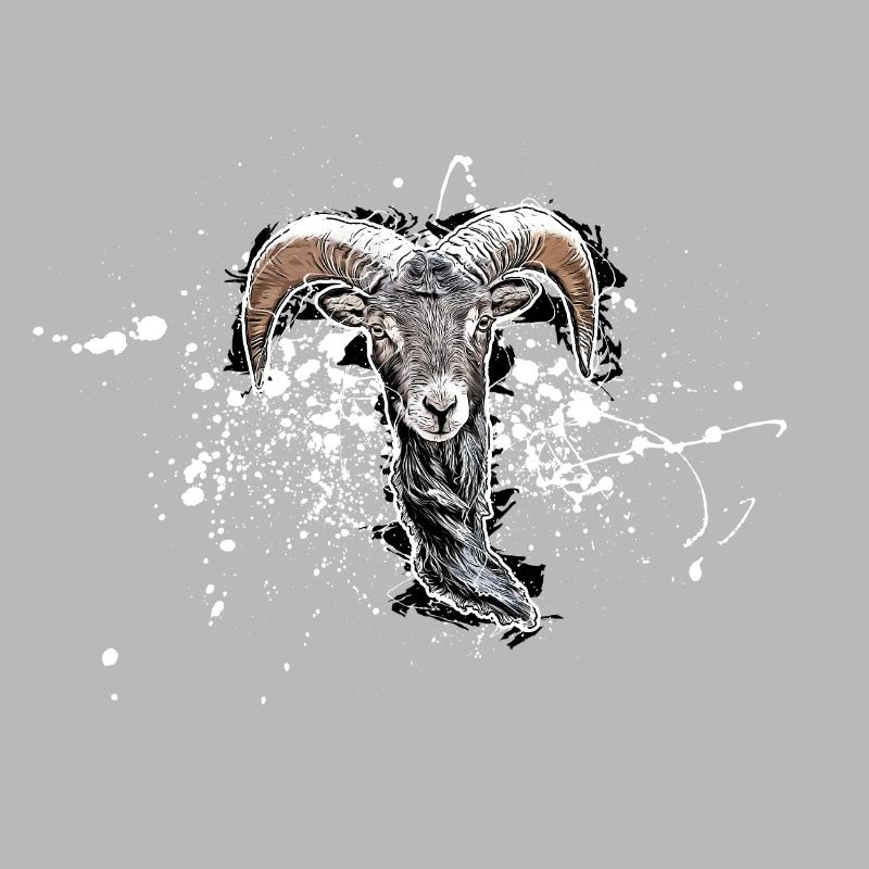 Bouc