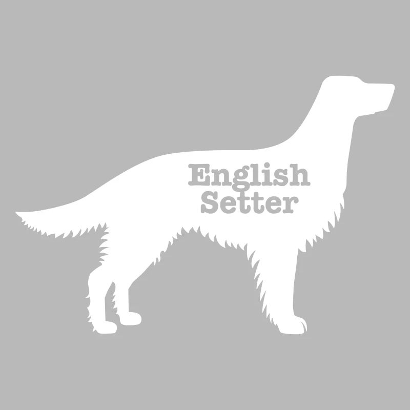 Englisch Setter