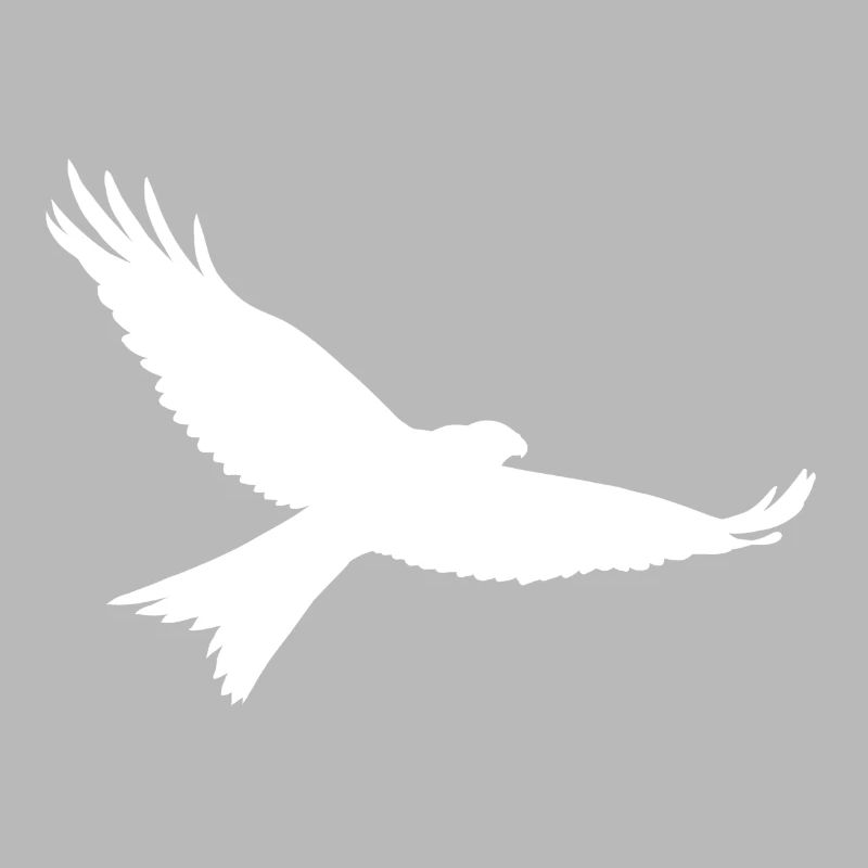 Oiseau de proie en blanc