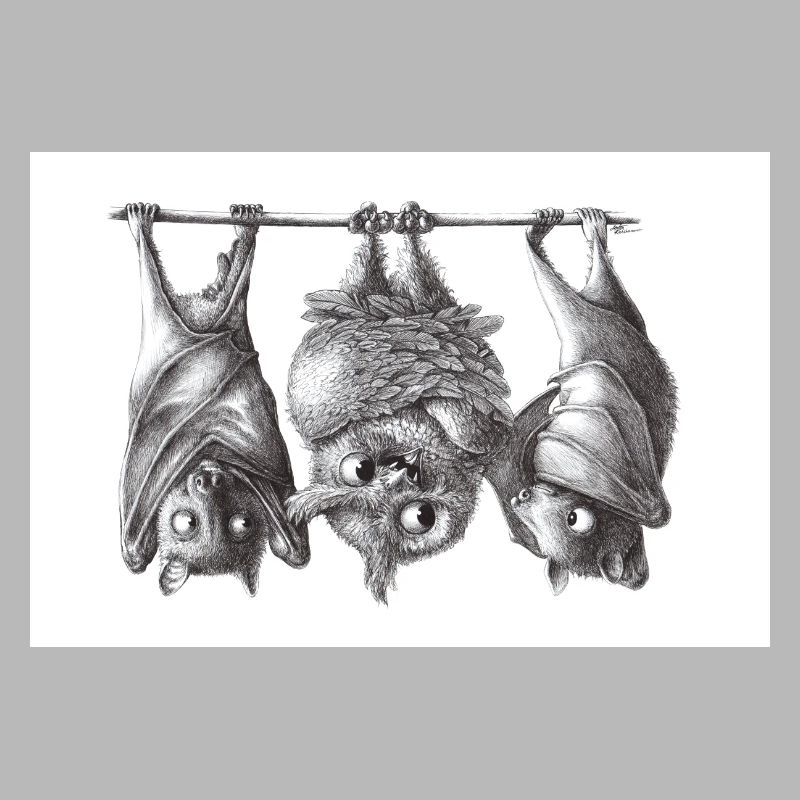Vampire owl and bats