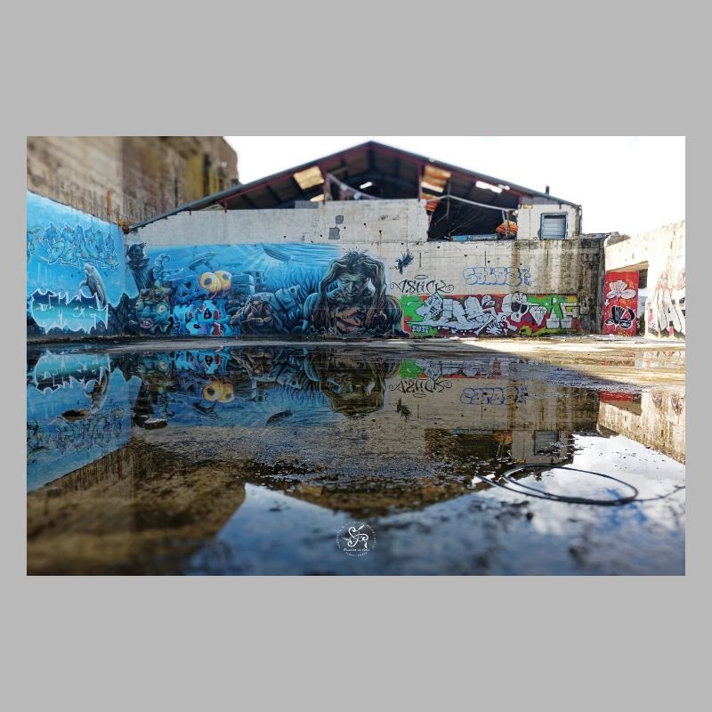 Reflets Urbains – Graffiti Bleu