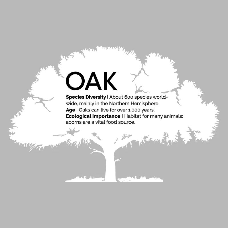 OAK Oaks with Information Nature Conservation Tree Forest