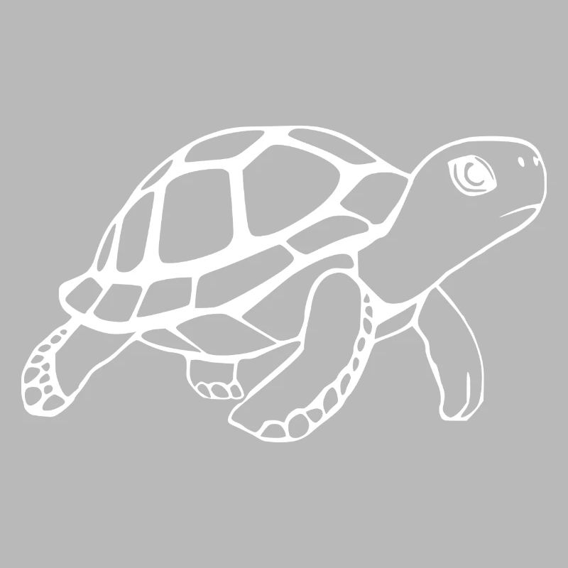 Turtle Turtles