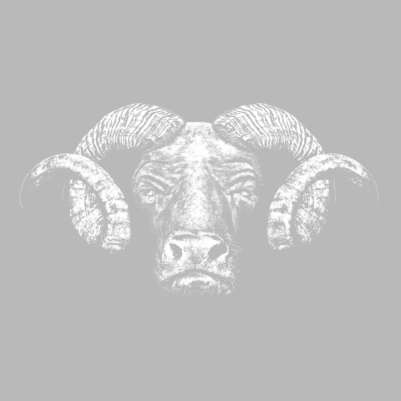 Minotaur / Head
