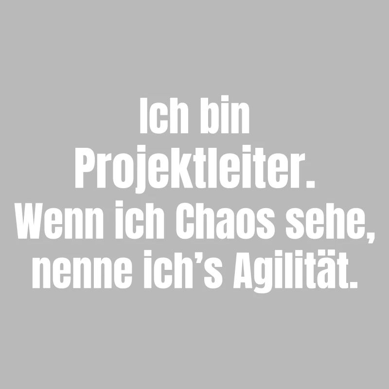 Chaos is agility: Project manager