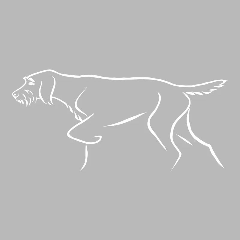 Wire-haired pointer