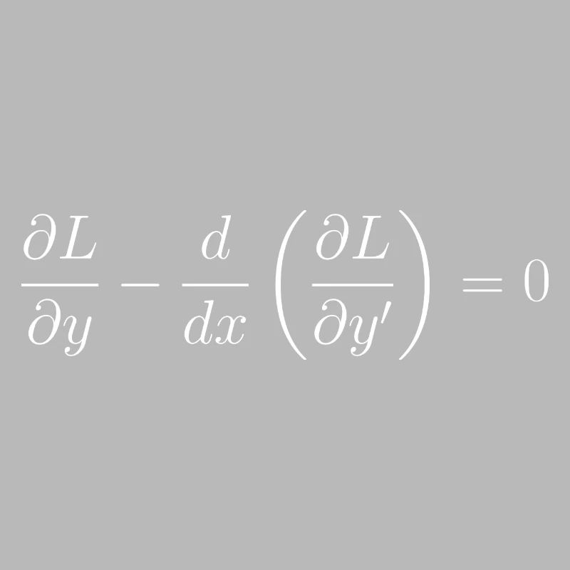 Euler-Lagrange equation fundamental notion physics