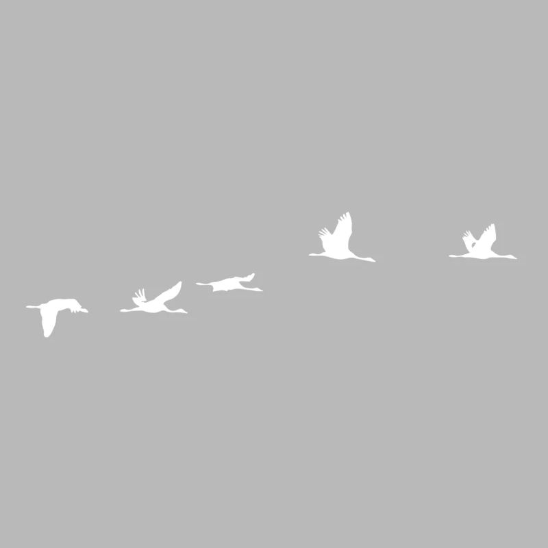 Oiseaux migrateurs blanc grue