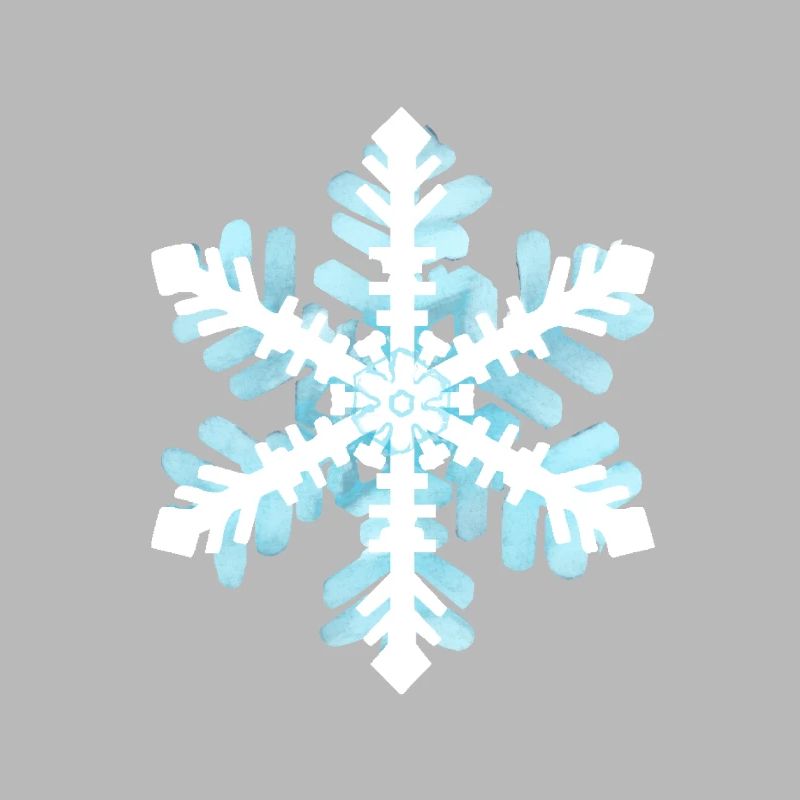 Schneestern