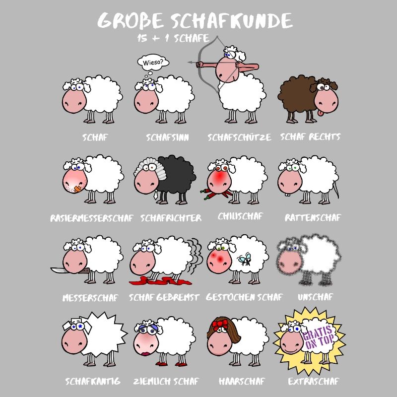 Excellente connaissance des moutons