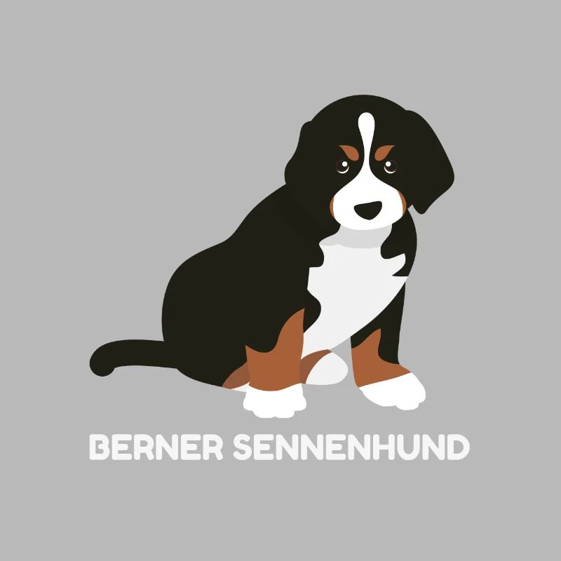 Chiot bernois