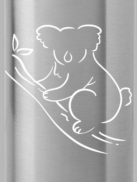 Koala Australien Australier