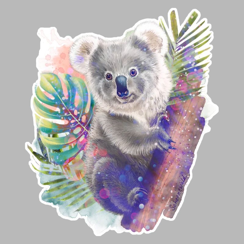 Koala | Koala bear