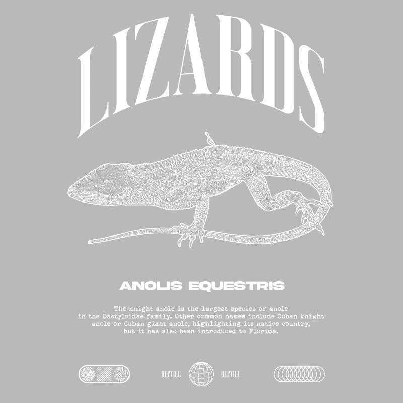 Cuban Knight Anole Reptile Keeper Lizard