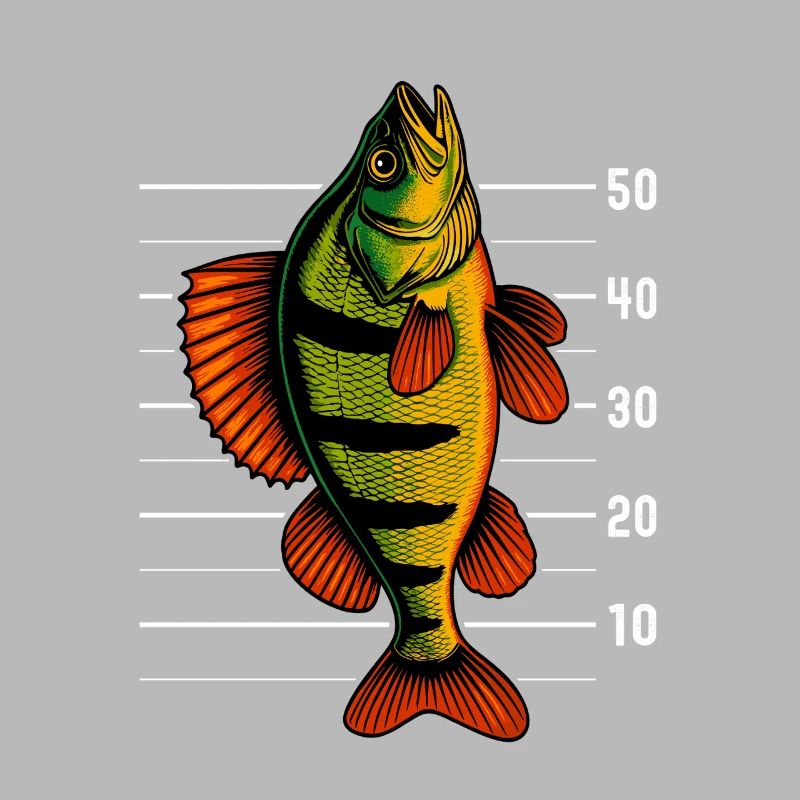 Perch Perch Perch Perch Bait