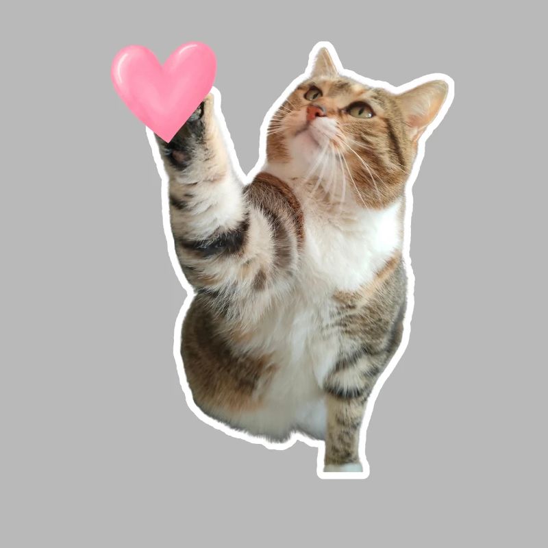 Missty check a heart