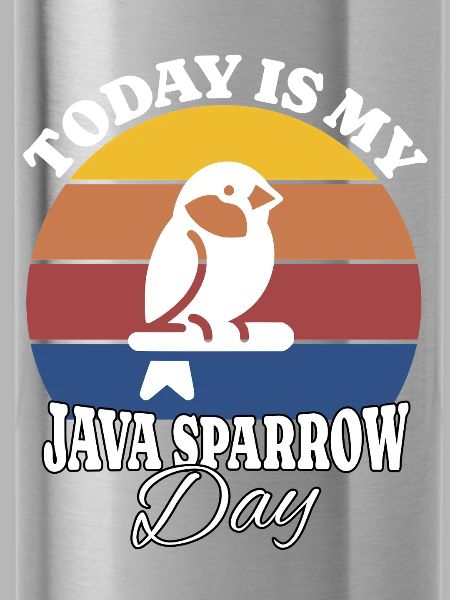 Reisamadine Java Sparrow