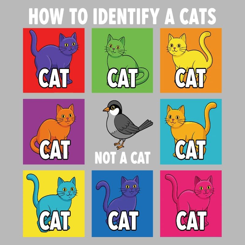 Guide d’identification des chats