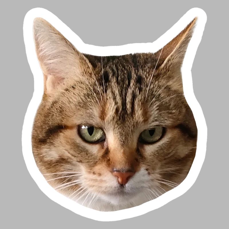 Missty Sad Decal