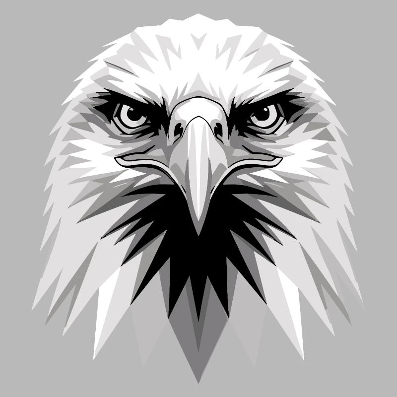 Eagle Bald Eagle Golden Eagle White-tailed Eagle