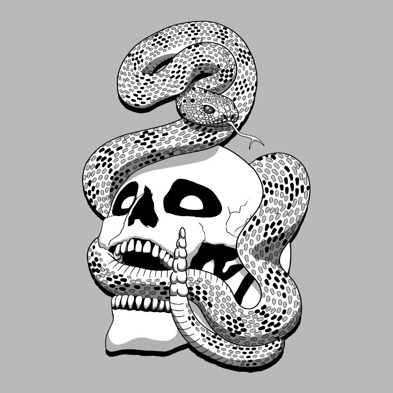 Serpent à sonnette et crâne