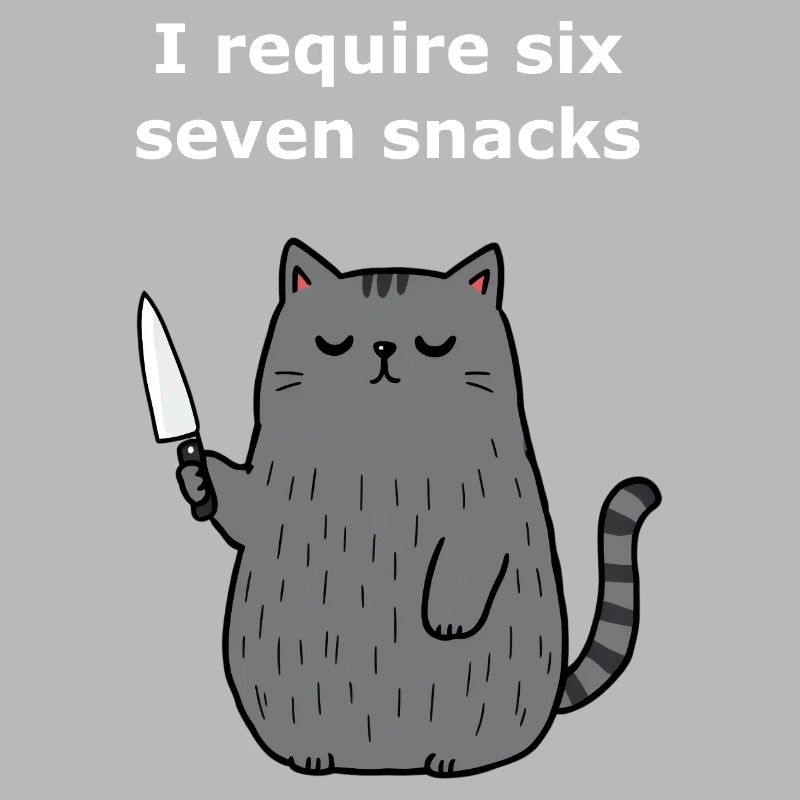6-7 Internet Meme 6 7 Snack Cat