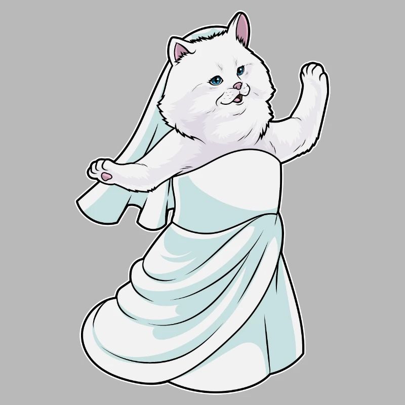 Chat persan robe de mariée