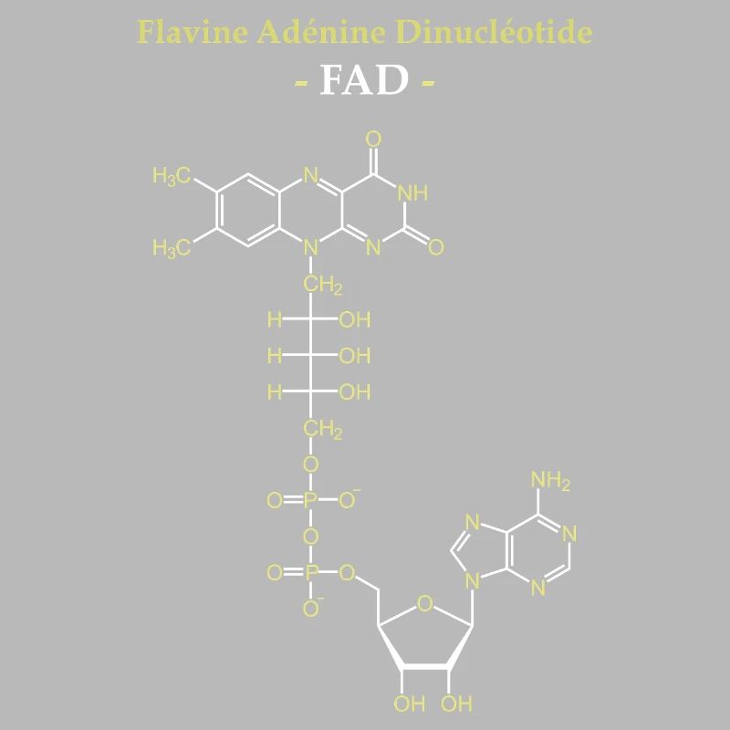 ADF Flavin-Adenin-Cofaktor