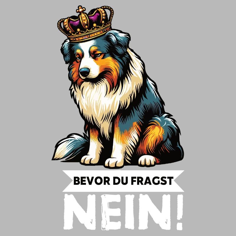 Avant que vous ne demandiez : Berger australien Aussie Aussie