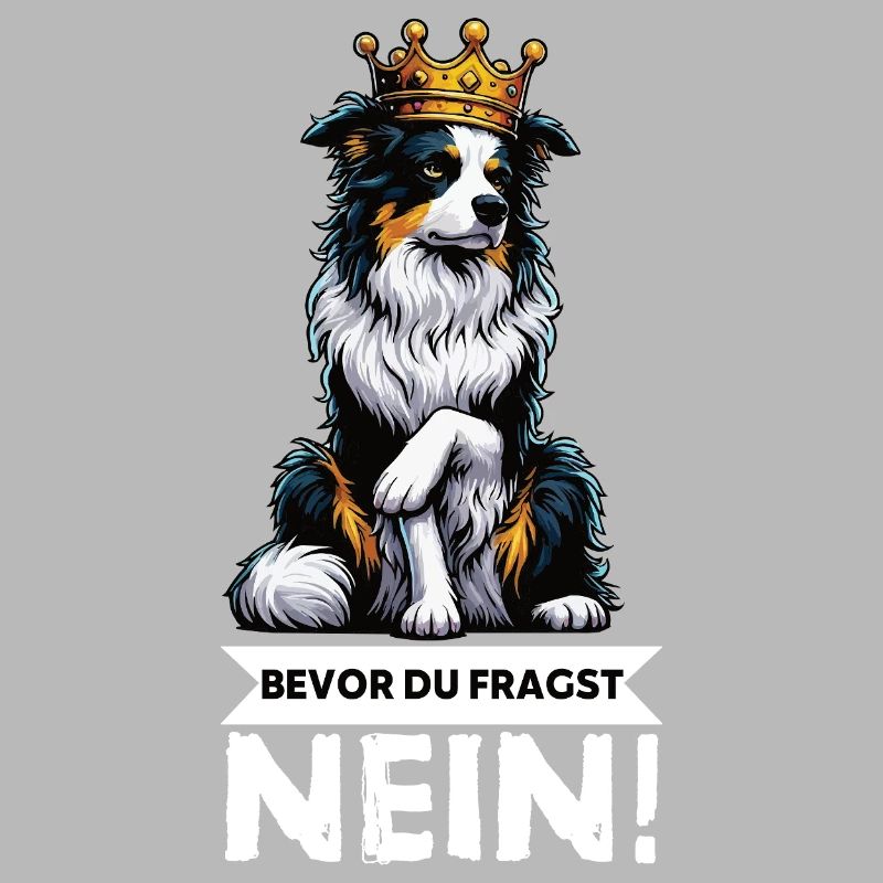 Before you ask: Australian Shepherd Aussie Aussie