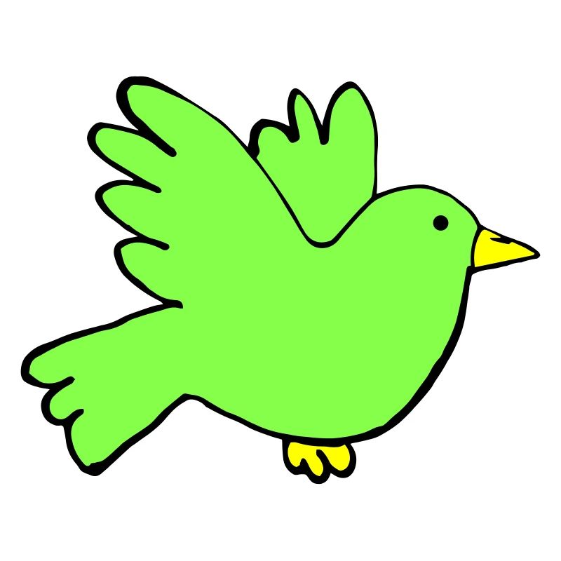 Couleurs des oiseaux