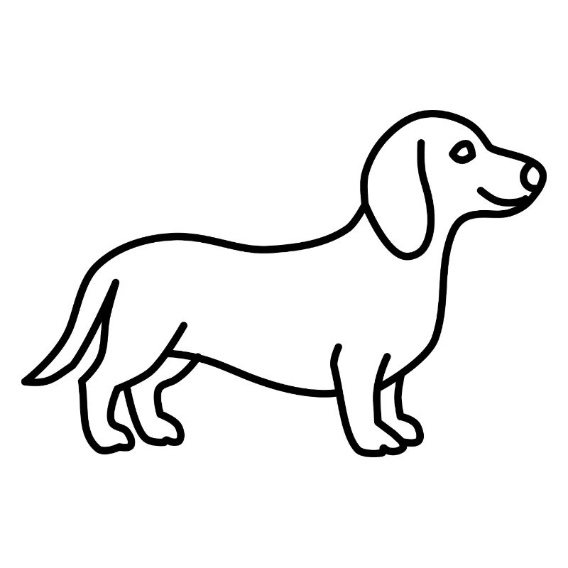 Dachshund Contour