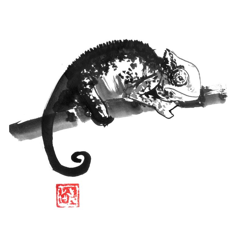 chameleon