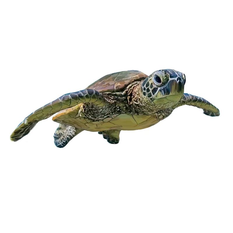 Schildkröte