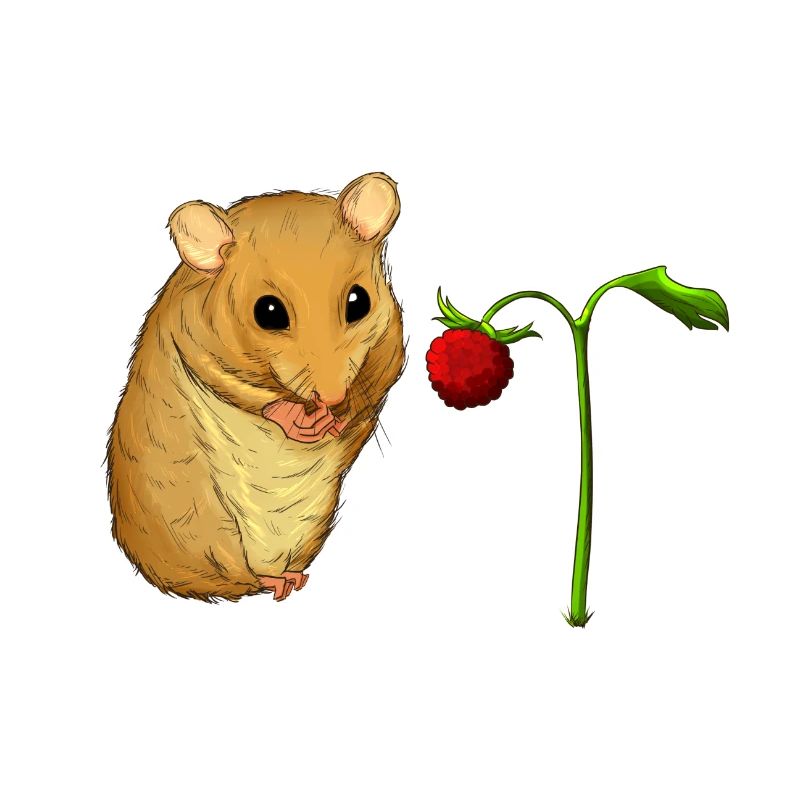 Haselmaus