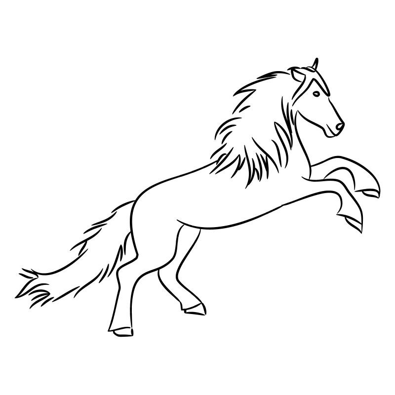 Pferd