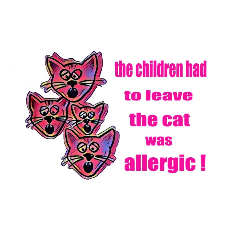 Katze