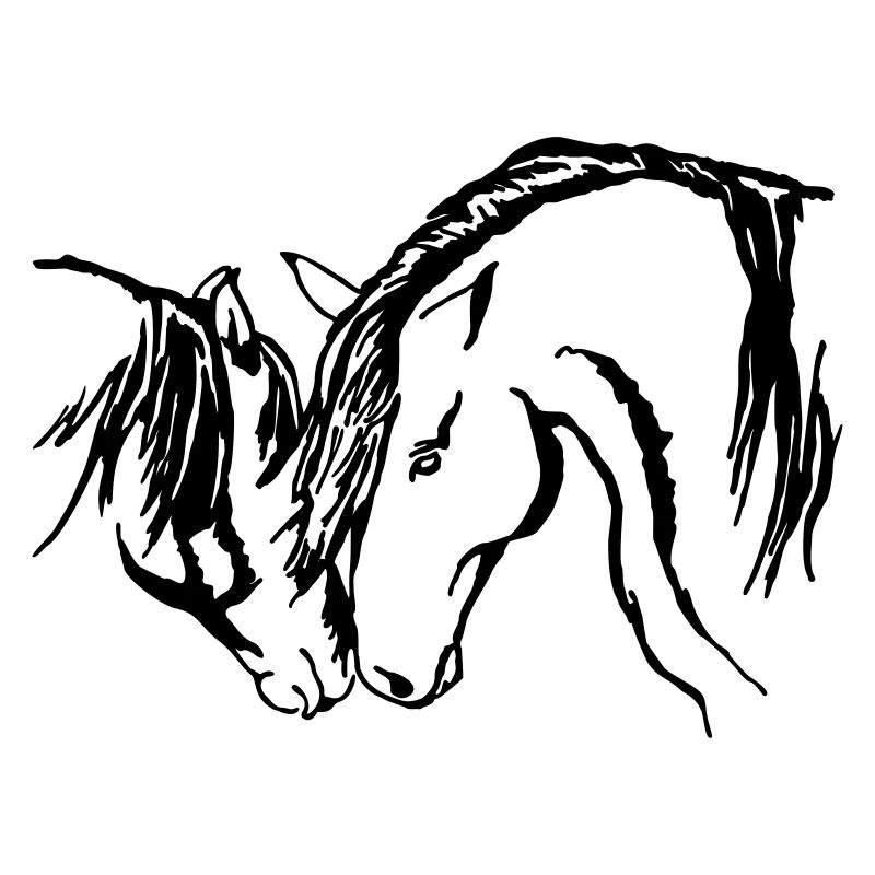 Wildhorses