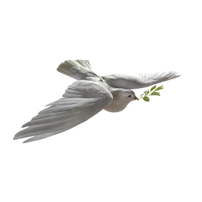 Peace