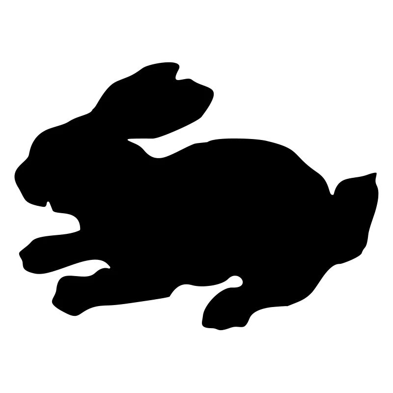 Hase