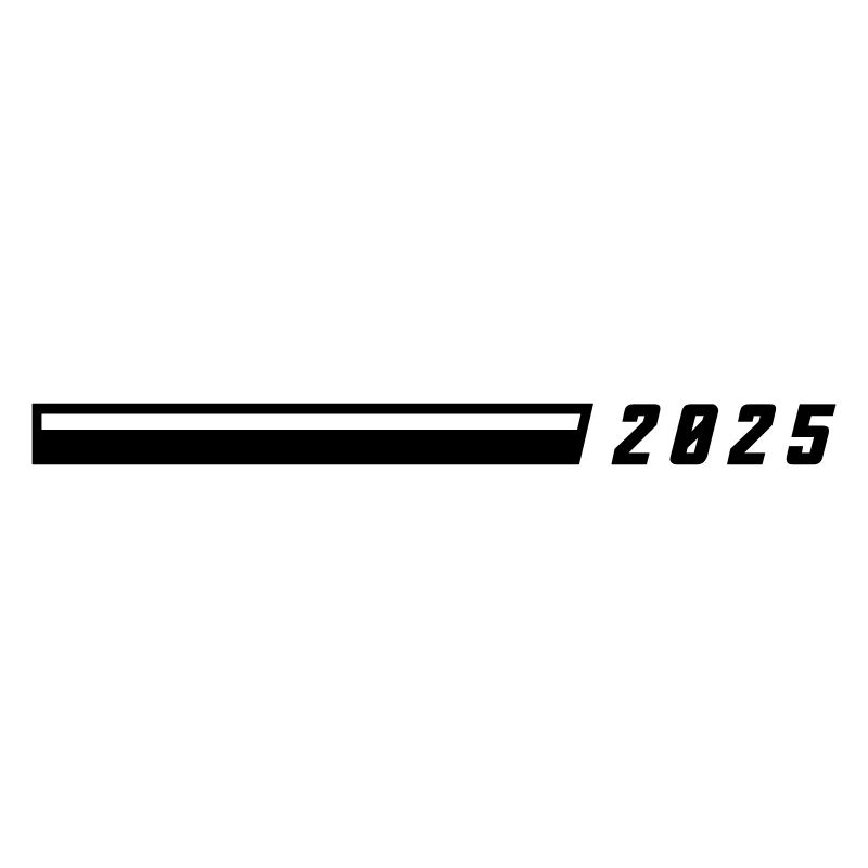 2025 year
