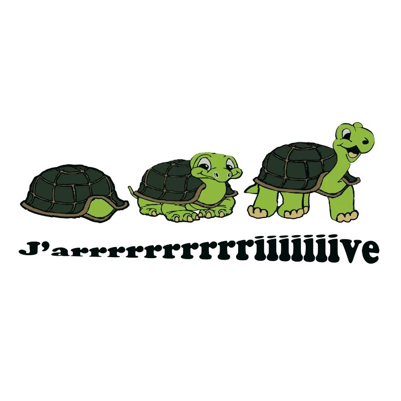 Tortues j'arrive